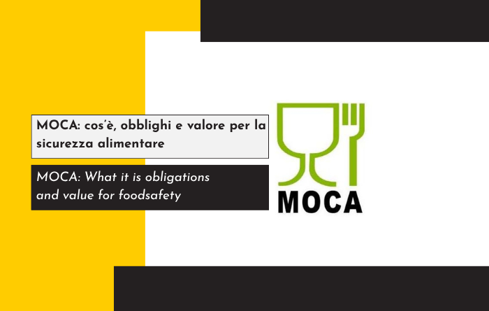 Copertina articolo MOCA 1