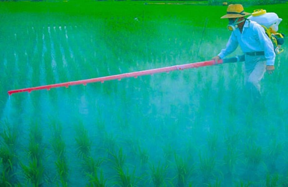 Fertilizzanti